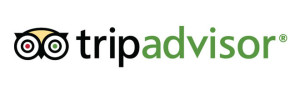 remove fake tripadvisor reviews